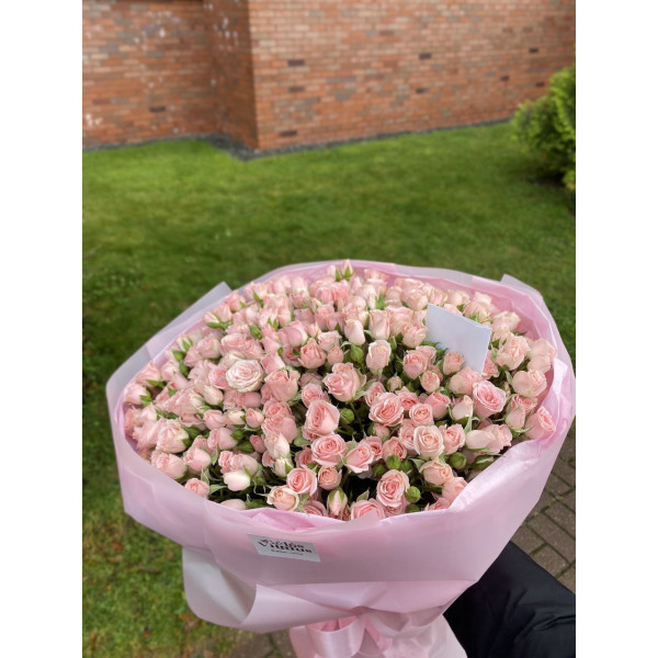51 spray roze
