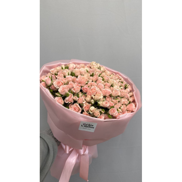 51 spray roze