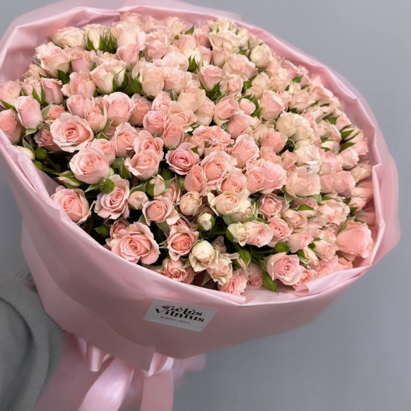 51 spray roze