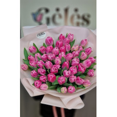 49 Tulpes Rozine
