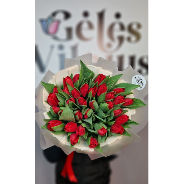 49 Tulpes