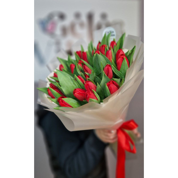 49 Tulpes