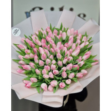 101 Tulpes Rozine
