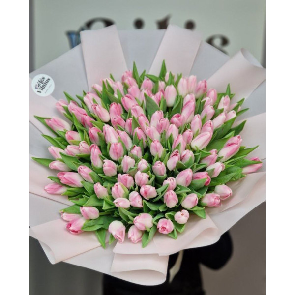 101 Tulpes Rozine