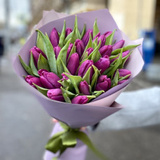 25 tulips